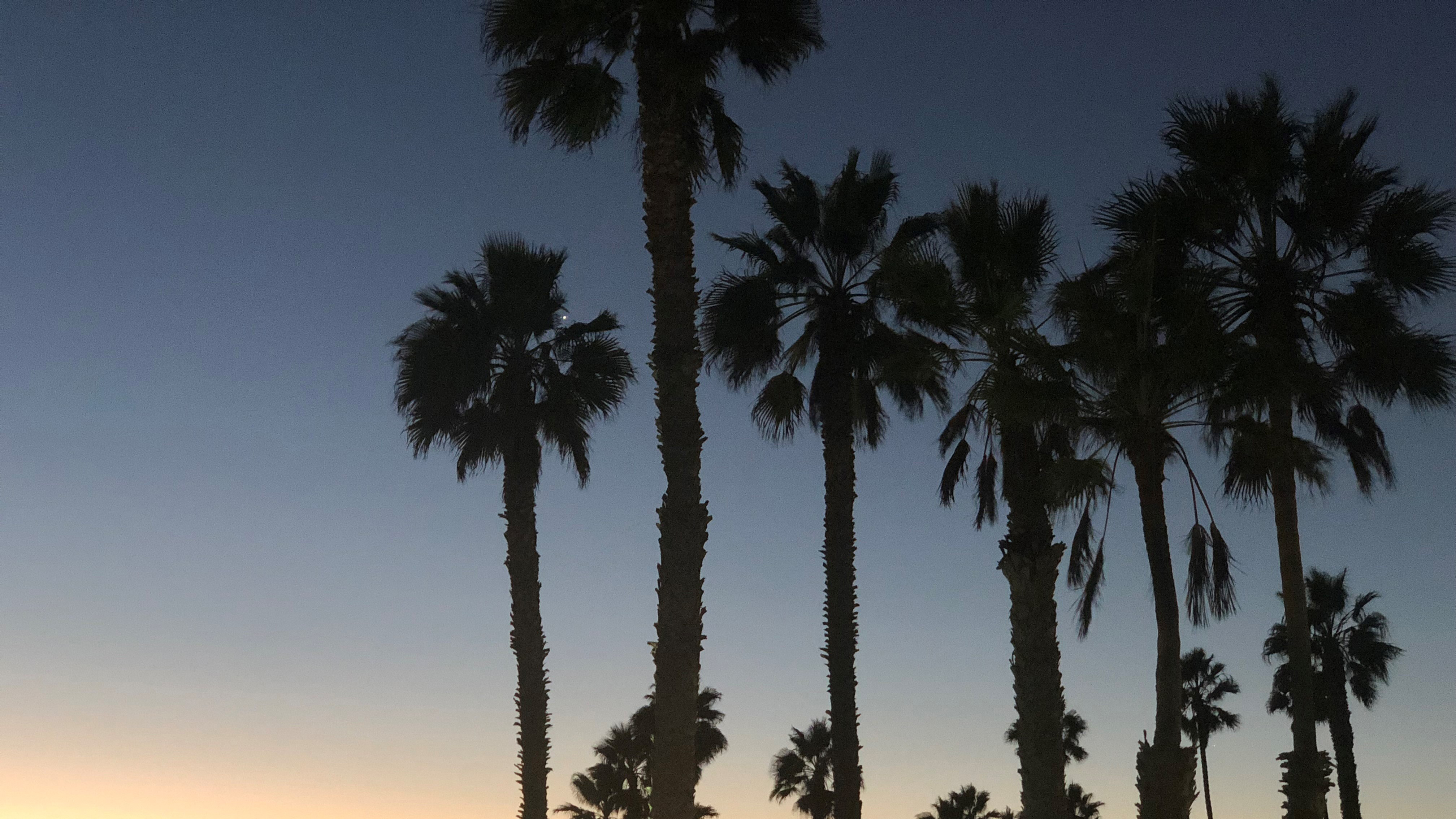 Follow the transformation of Los Angleses